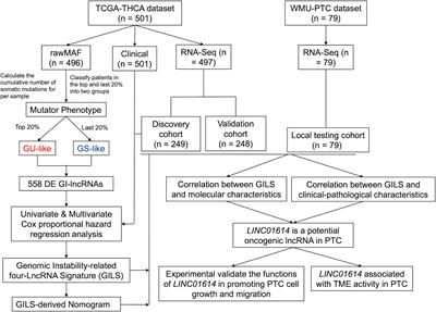 Genomic Instability-Related LncRNA Signature Predicts the Prognosis and Highlights LINC01614 Is a Tumor Microenvironment-Related Oncogenic lncRNA of Papillary Thyroid Carcinoma